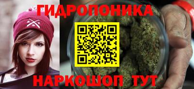 винт Пенза