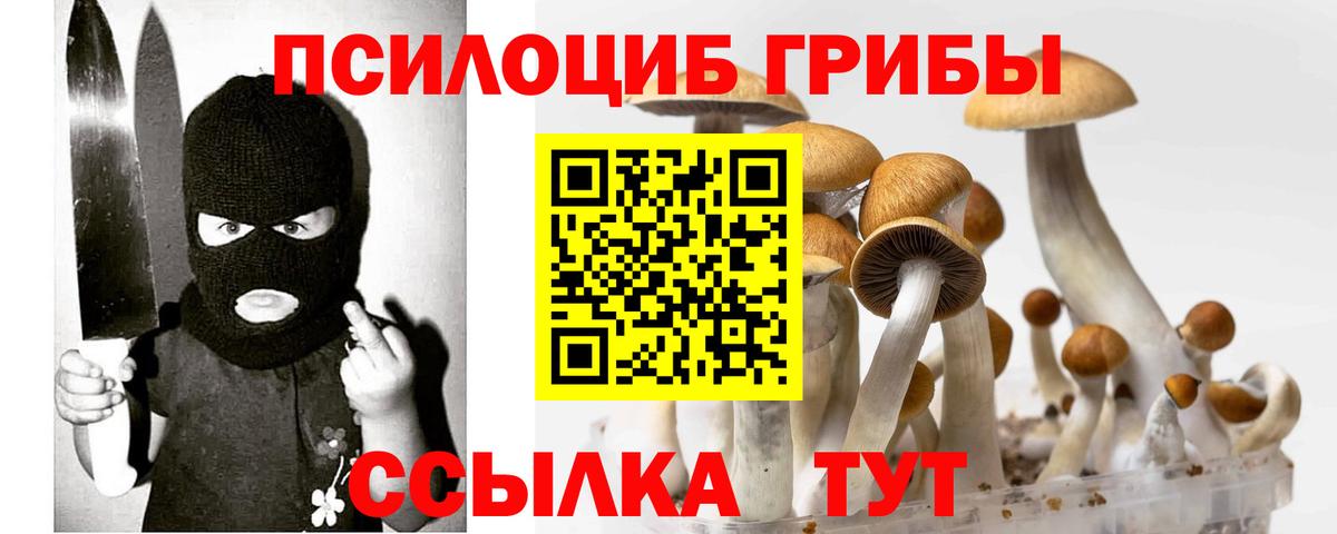 Россия  Псилоцибиновые грибы Cubensis  Галлюциногенные грибы ЛСД  Вход с VPN 
